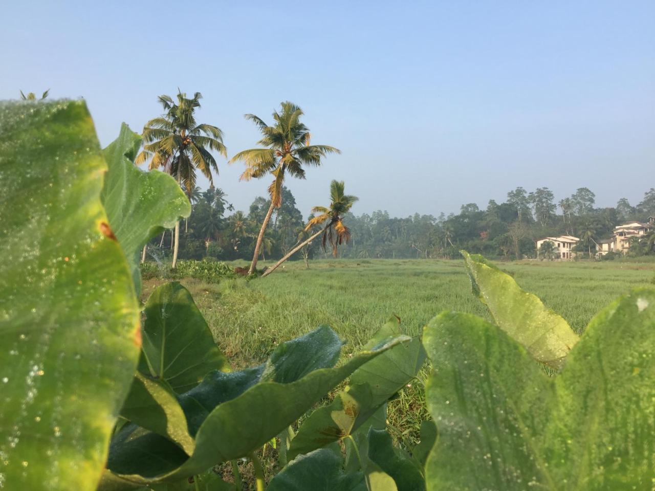 Villa Kumana - Unawatuna Galle Bagian luar foto